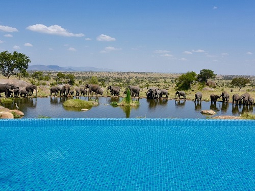 Cinco destinos com piscinas luxuosas - piscina hotel Four Seasons