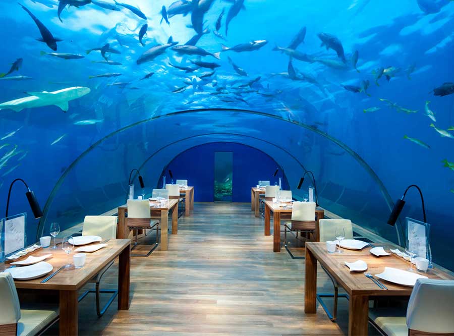 Hotel nas Maldívias inaugura quarto submerso
